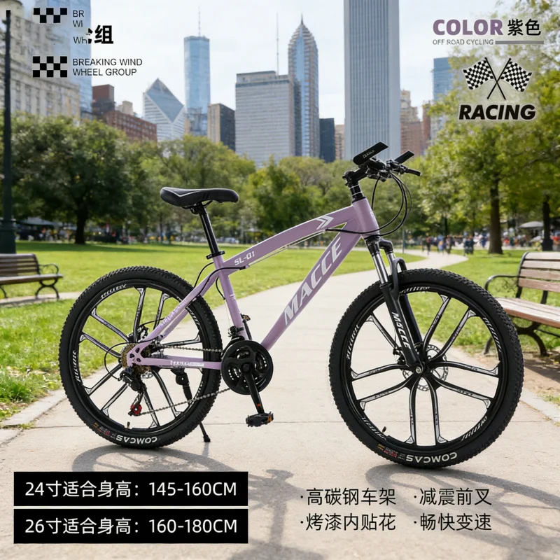 Vélo de montagne haut de gamme - Cycling Low Gear avis et prix