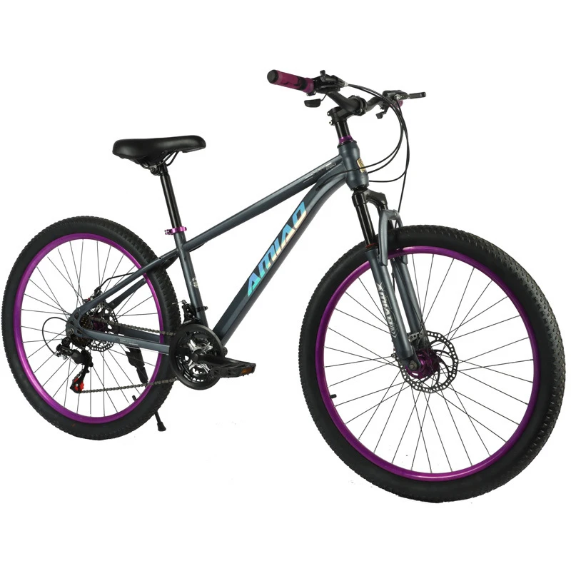 Vélo de montagne multi-vitesse - Cycling Low Gear avis et prix