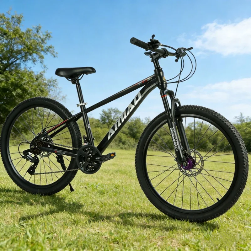 Vélo de montagne multi-vitesse - Cycling Low Gear avis et prix